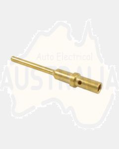 Deutsch 0460-202-2031 Size 20 Gold Pin