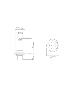 Ionnic 64210 Globe Halogen H7 12V 55W PX26d